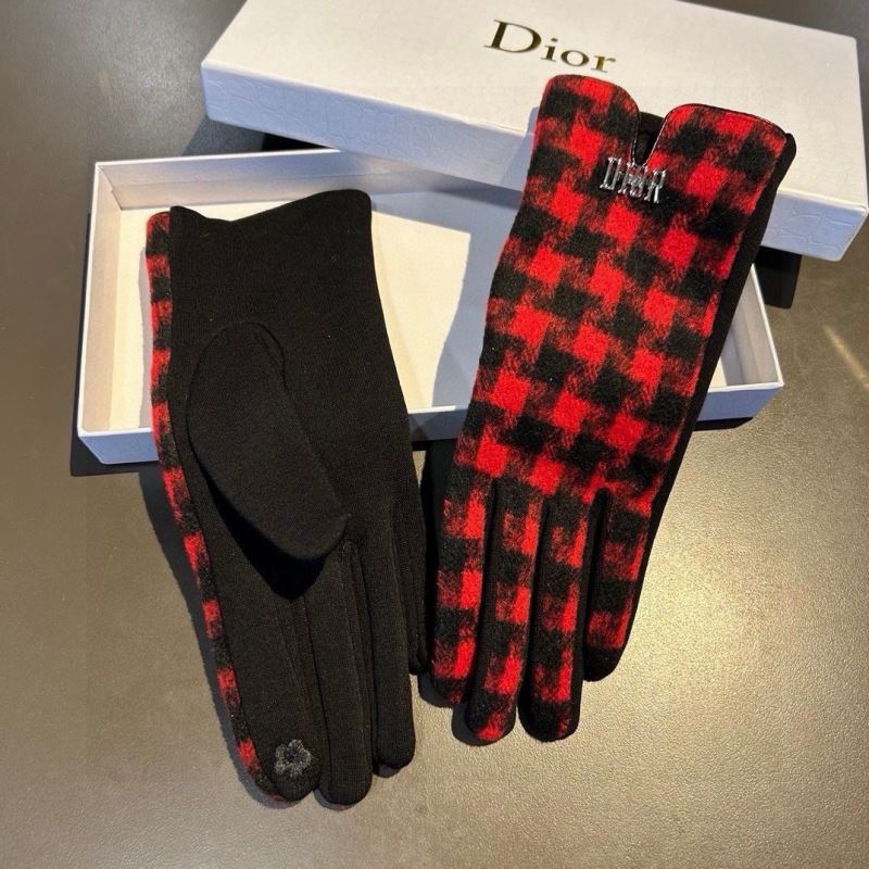 Christian Dior Gloves